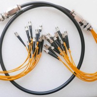 12 Strand ST ST 62.5 Multimode Outdoor Waterproof Patch Cable