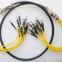 12 Strand ST/UPC ST/UPC Singlemode Outdoor Waterproof Patch Cable