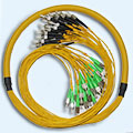 Multifiber Patch Cables